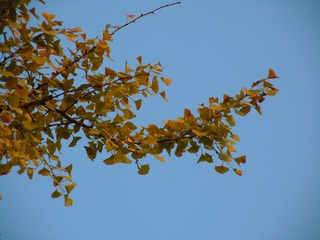 AE0C93B4-75D4-4C83-87BC-C599F1E1AC8F/L0/001