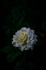 D3C87AB3-4197-4DA5-B357-E3163B3A8D52/L0/001