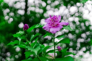 2B015831-7ABF-4F61-9247-FB7D83E1A418/L0/001