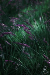 6C54682C-C77B-4719-8127-AC2E3C94F188/L0/001