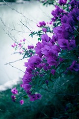 53DA618C-5003-4FA6-9102-E84014CCD668/L0/001