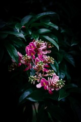 677B7044-5A15-4DB1-8ED0-49C68204C939/L0/001
