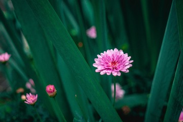 0372A025-E2EF-4C56-AAD1-AF86366D06DD/L0/001