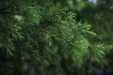 F56A98D9-90D5-40B4-9FFD-C626E280E7C3/L0/001