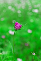 691BDF10-43F3-4FE9-9C77-DABD5233076F/L0/001