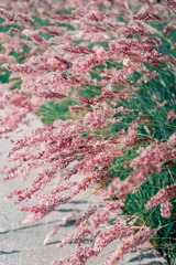 A2254D74-5612-4D34-A727-1AB81625A2B5/L0/001