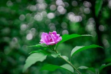 FD39A0AA-DDE8-4E1E-B92E-28852B98ACA1/L0/001
