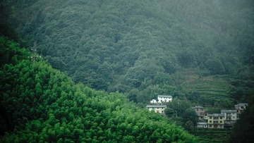 D27C0D23-77F7-4AC5-ADBE-FA426106030A/L0/001