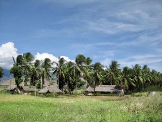 03281AF7-486C-4EC5-9B8C-25E257F645E8/L0/001