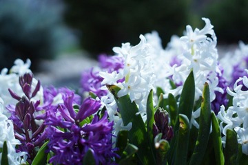 DSC00491.JPG