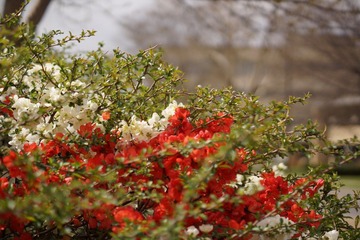 DSC00542.JPG