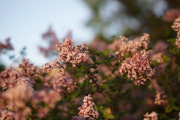DSC00761.JPG