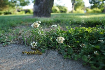 DSC00805.JPG