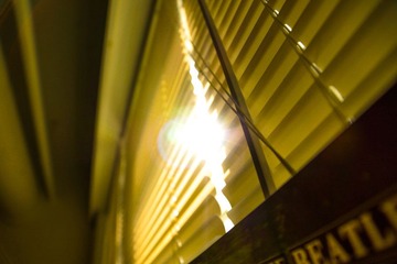 DSC00787.jpg