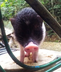 20120129_092654.jpg