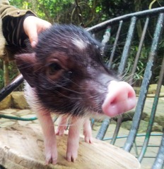 20120129_092905.jpg