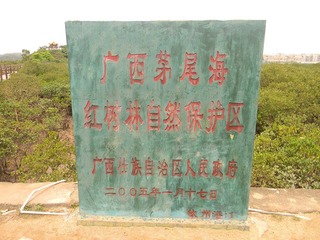 照片 056.jpg