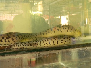 照片 060.jpg