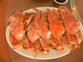照片 068.jpg