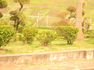 照片 334.jpg