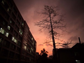 P4298352.jpg