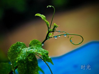 P5138553.jpg