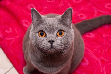 DSC_0049.jpg