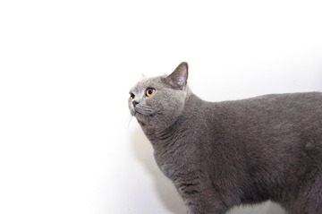 DSC_0043.jpg