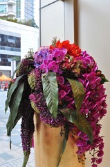 DSC_0113.jpg