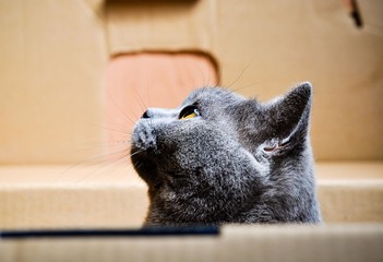 DSC_0050.jpg