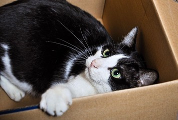 DSC_0023.jpg