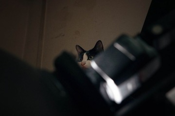 DSC_1032.jpg