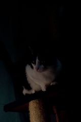 DSC_1041.jpg