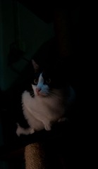 DSC_1042.jpg