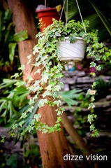 DSC_0900.jpg
