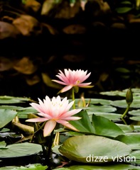 DSC_0840-2.jpg