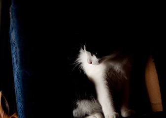 DSC_0013-3.jpg