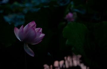 DSC_0046.jpg