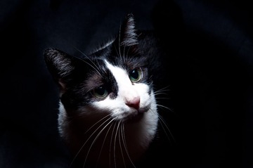DSC_0084.jpg