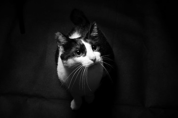 DSC_0083.jpg
