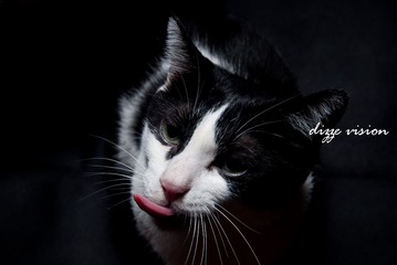 DSC_0075.JPG