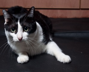 DSC_0035-2.jpg