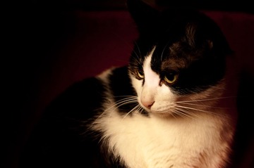 20131224-20131224-DSC_0012