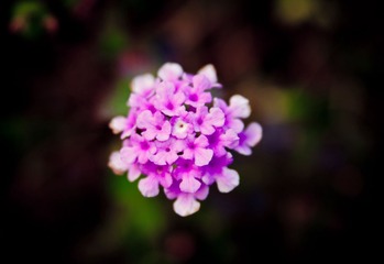 20140104-20140104-DSC_0114