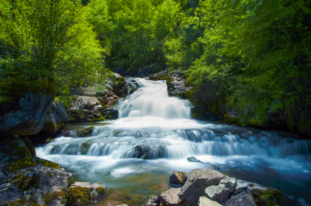黄涧子森林公园的山涧溪流