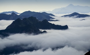 12300