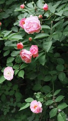 FA9E636C-6CEC-4B55-A6F6-CDC7EB65D092/L0/001