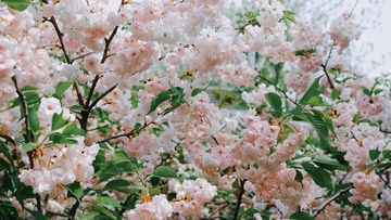 36D94BFD-32BD-457A-BDB8-A54A5B0CF7C8/L0/001