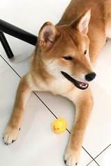001
