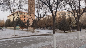 1000129791